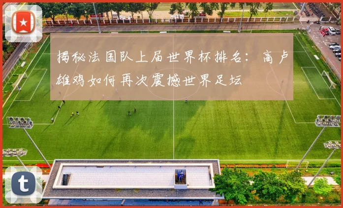 揭秘法国队上届世界杯排名：高卢雄鸡如何再次震撼世界足坛
