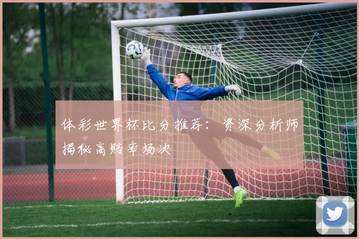 体彩世界杯比分推荐：资深分析师揭秘高赔率场次