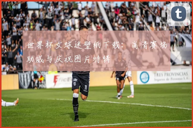 世界杯女球迷壁纸下载：高清赛场助威与庆祝图片特辑