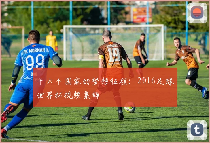 十六个国家的梦想征程：2016足球世界杯视频集锦