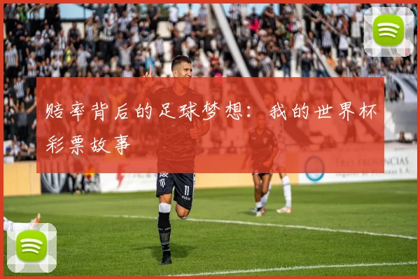 赔率背后的足球梦想：我的世界杯彩票故事