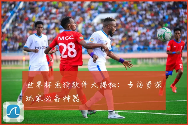 世界杯竞猜软件大揭秘:专访资深玩家必备神器