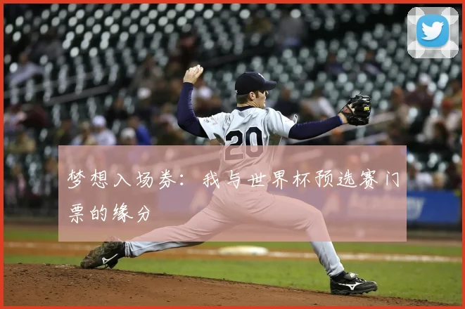 梦想入场券：我与世界杯预选赛门票的缘分