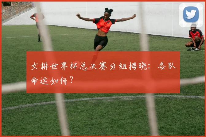 女排世界杯总决赛分组揭晓：各队命运如何？
