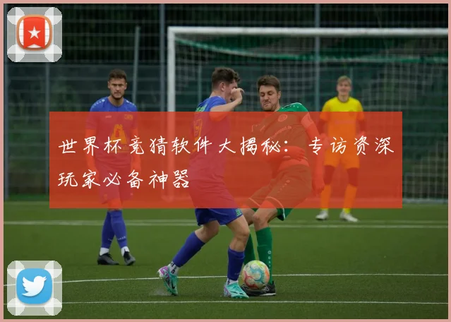 世界杯竞猜软件大揭秘：专访资深玩家必备神器