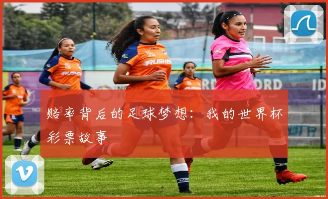 赔率背后的足球梦想:我的世界杯彩票故事